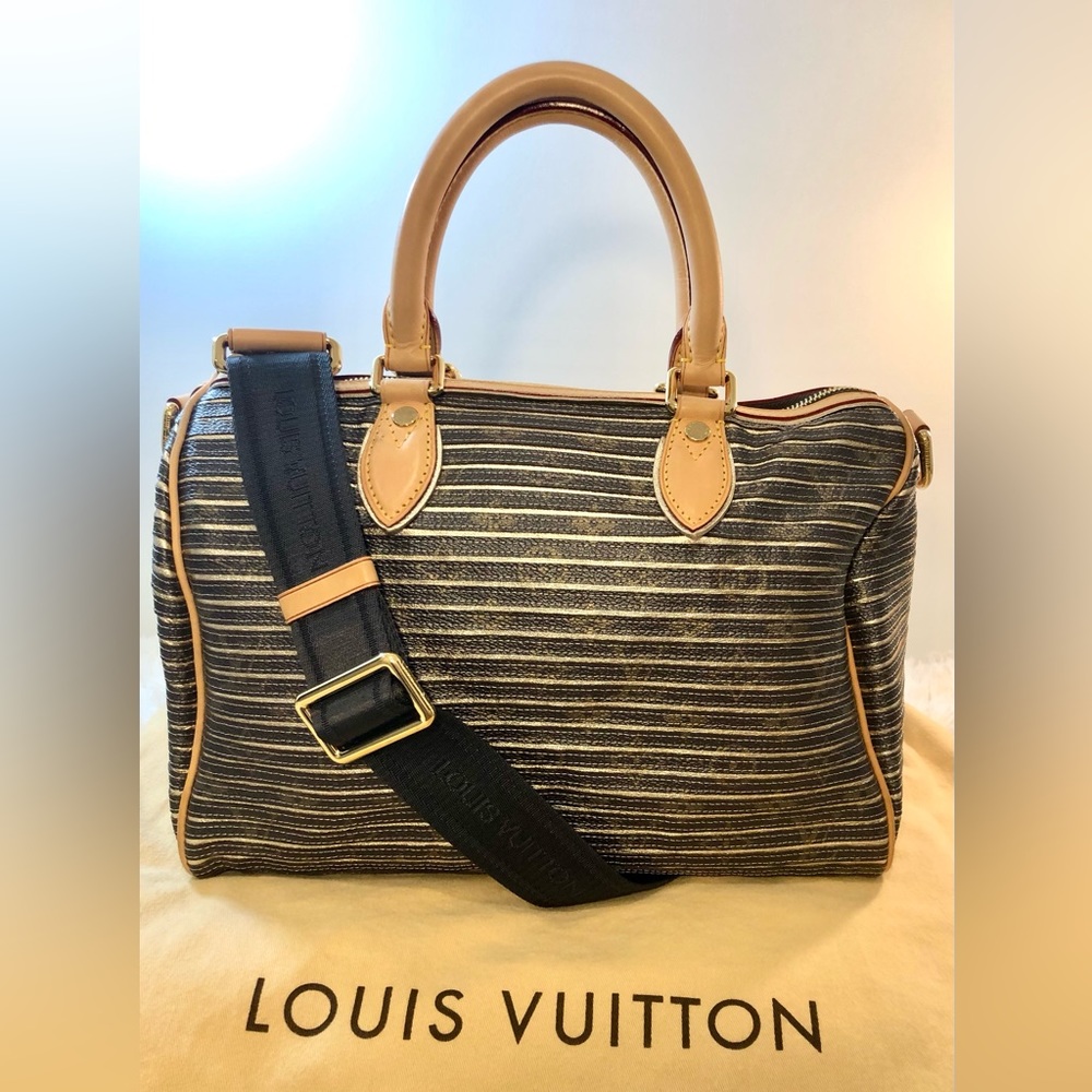 Louis Vuitton Limited Edition Speedy 30 Argent - Rare Find